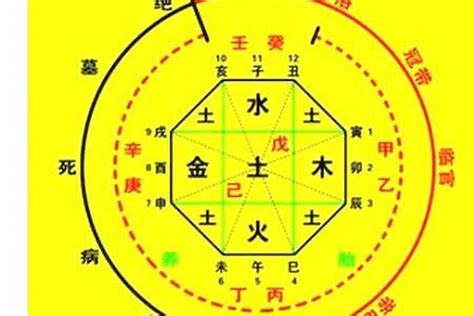 出生日期 八字|生辰八字算命、五行喜用神查詢（免費測算）